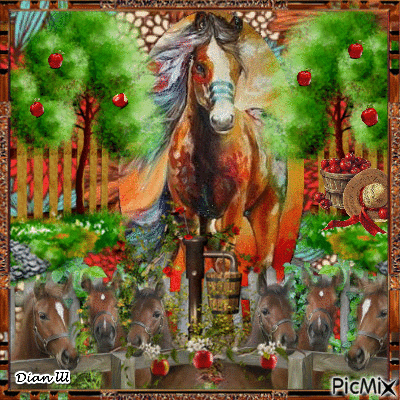 My Beautiful Horses.. - Бесплатный анимированный гифка