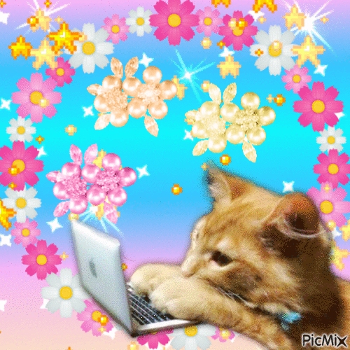 Meow work from home - Darmowy animowany GIF