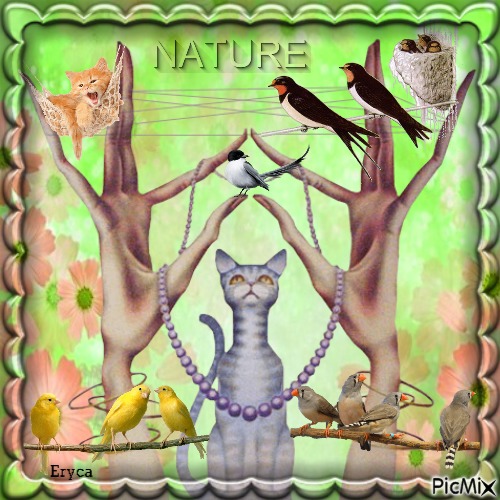 Nature fantaisie - δωρεάν png