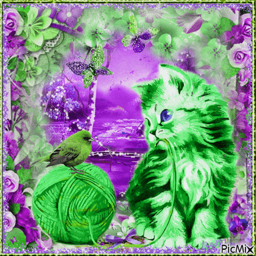 Cat in Purple and Green - Bezmaksas animēts GIF