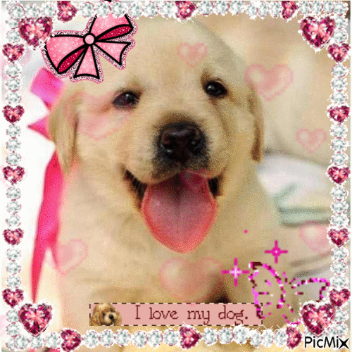 precious puppy - Gratis geanimeerde GIF