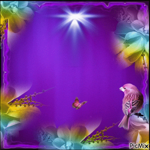 Purple daze - Zdarma animovaný GIF