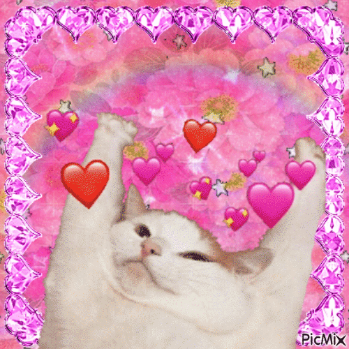 Cat love - 免费动画 GIF