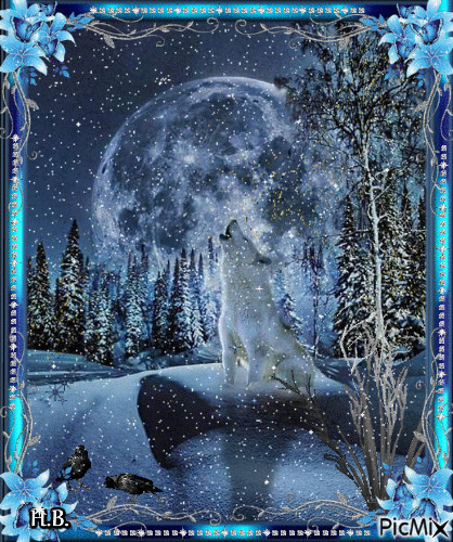 Wolf in the night. - Ilmainen animoitu GIF