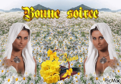 BONNE SOIREE - Gratis geanimeerde GIF