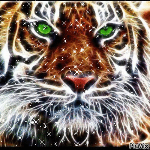 Tigre - GIF animasi gratis