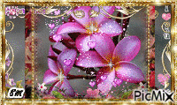 flores en degrade - GIF animado grátis