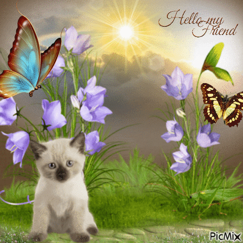Butterfly And Kitten - Bezmaksas animēts GIF