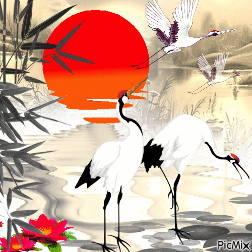 Cranes - GIF animado grátis