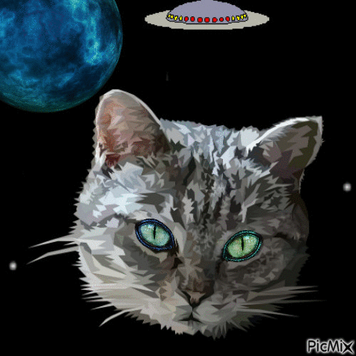 Space cat - GIF animasi gratis