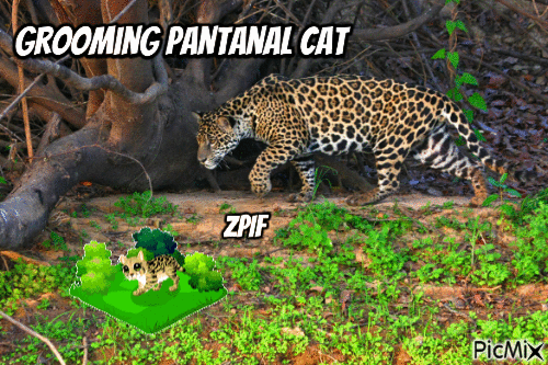 Grooming Pantanal Cat - Gratis animeret GIF