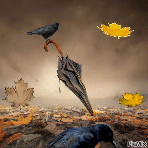 Cuervos en otoño - Darmowy animowany GIF