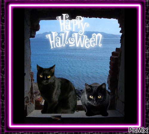 Chat.Cat.halloween.Black.Katze.Victoriabea, gato , kot , gif - GIF animado  grátis - PicMix