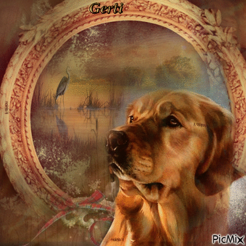 Portrait of a beautiful dog - Δωρεάν κινούμενο GIF