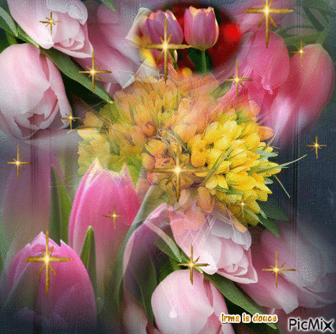 Tulipespour vous - Gratis animerad GIF