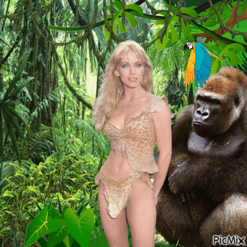 Sheena with gorilla and parrot - 免费动画 GIF