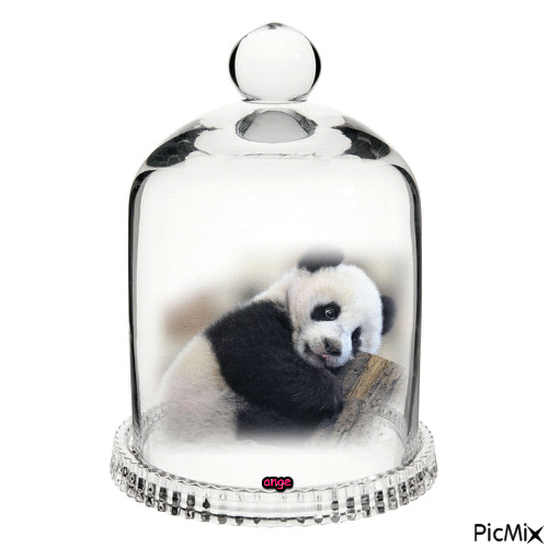 panda - Gratis geanimeerde GIF