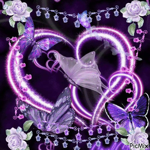Purple butterflies - Gratis animeret GIF