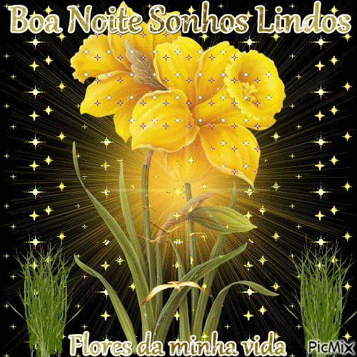 Boa Noite Sonhos Lindos - Бесплатный анимированный гифка