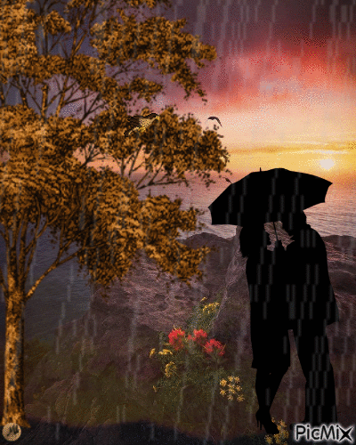 Romántica tarde de otoño - Zdarma animovaný GIF