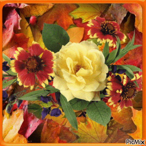 Herbst automne autumn - GIF animado grátis