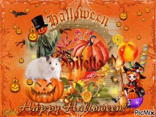 Happy Halloween Gifette - png grátis