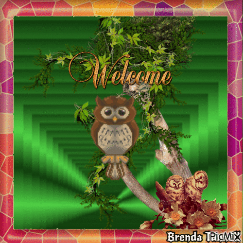 welcome owl - 無料のアニメーション GIF