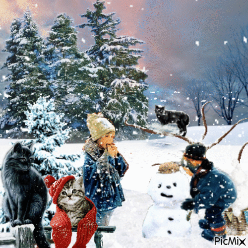 Cats Out In The Snow - Бесплатный анимированный гифка