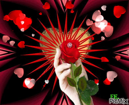 Egy szál vörös rózsa. - Darmowy animowany GIF