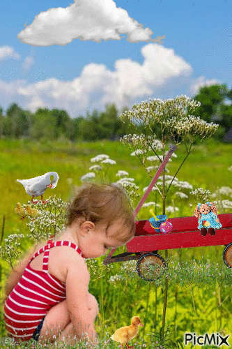 Early Summer Meadow - Free animated GIF