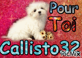 Pour toi Callisto32 - Gratis geanimeerde GIF