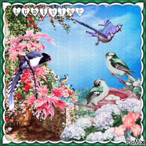 Oiseaux au printemps...🕊🕊🕊 - 無料のアニメーション GIF