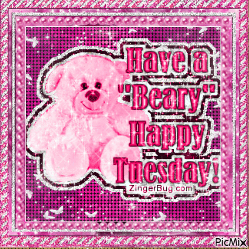 Have A Beary Happy Tuesday