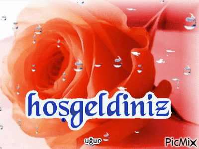 hoşgeldiniz 2016 - Zdarma animovaný GIF