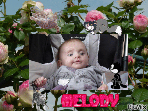 melody - 免费动画 GIF