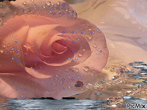 ruža - GIF animado gratis