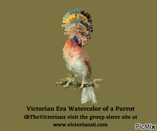 Victorian Era Watercolor of a Parrot - Ingyenes animált GIF