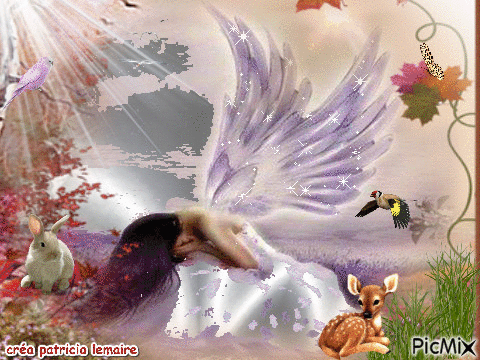 l'ange déchue - Zdarma animovaný GIF