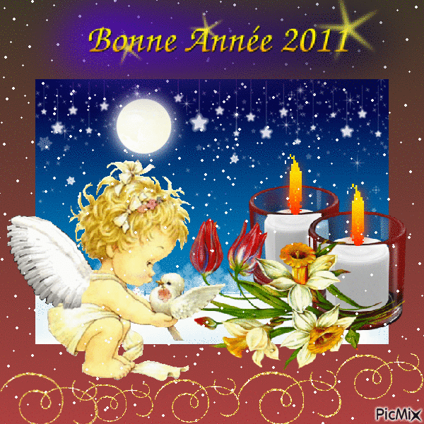 BONNE ANNEE 2011 - GIF เคลื่อนไหวฟรี