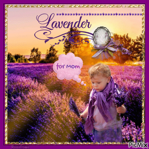 Lavendel - Ilmainen animoitu GIF