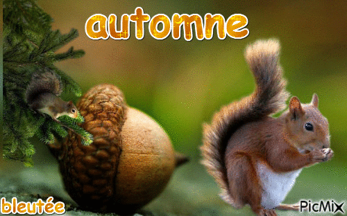 automne - 免费动画 GIF
