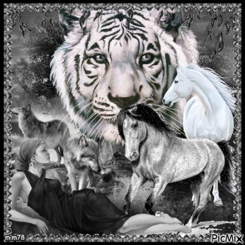 Tigre, loup, cheval et femme - Free animated GIF