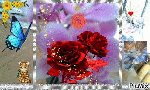 Rose enchantée - Gratis animerad GIF