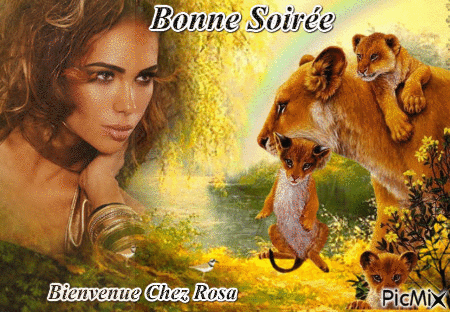Bonne Soirée - Darmowy animowany GIF