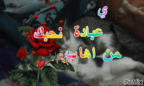تتمكخهحعخ - Zdarma animovaný GIF