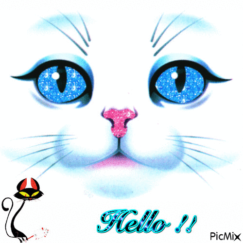 tête de chat blanc - Zdarma animovaný GIF