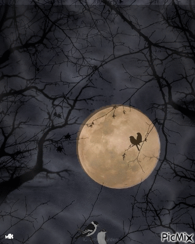 En luna llena - Animovaný GIF zadarmo