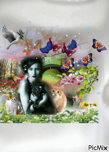 femme et chats - Free animated GIF