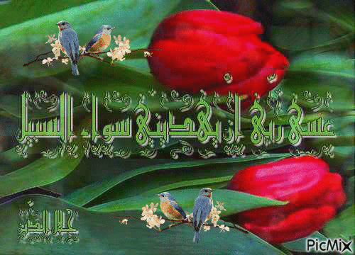 عسى ربّي - Zdarma animovaný GIF