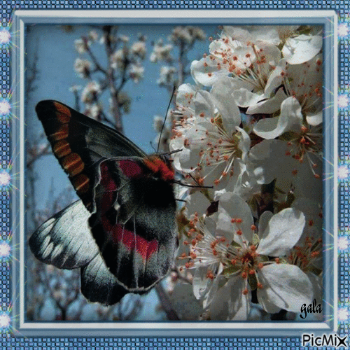 Printemps et fleurs de cerisier - Δωρεάν κινούμενο GIF